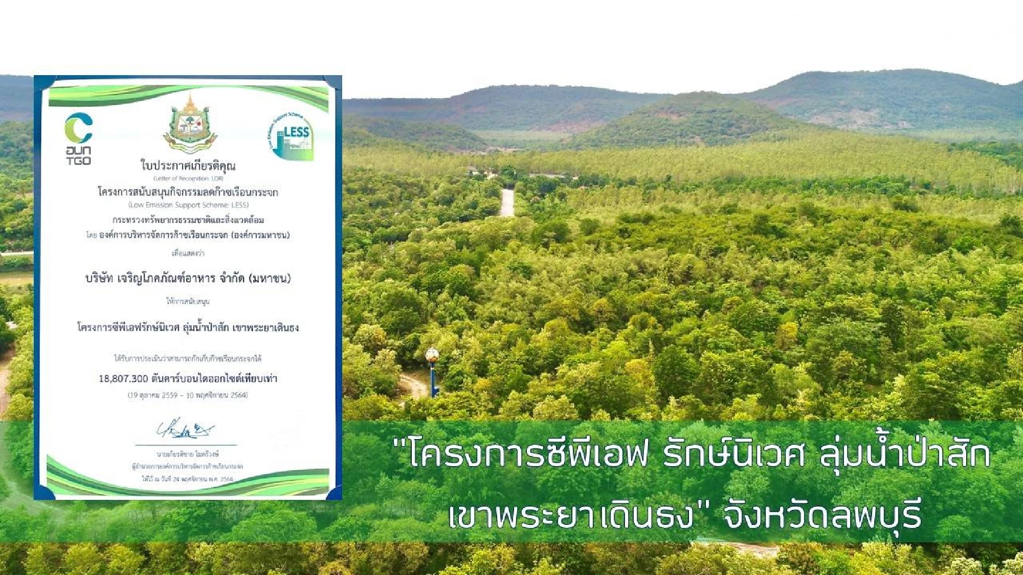 CP Foods vows sustainable sourcing to fight deforestation