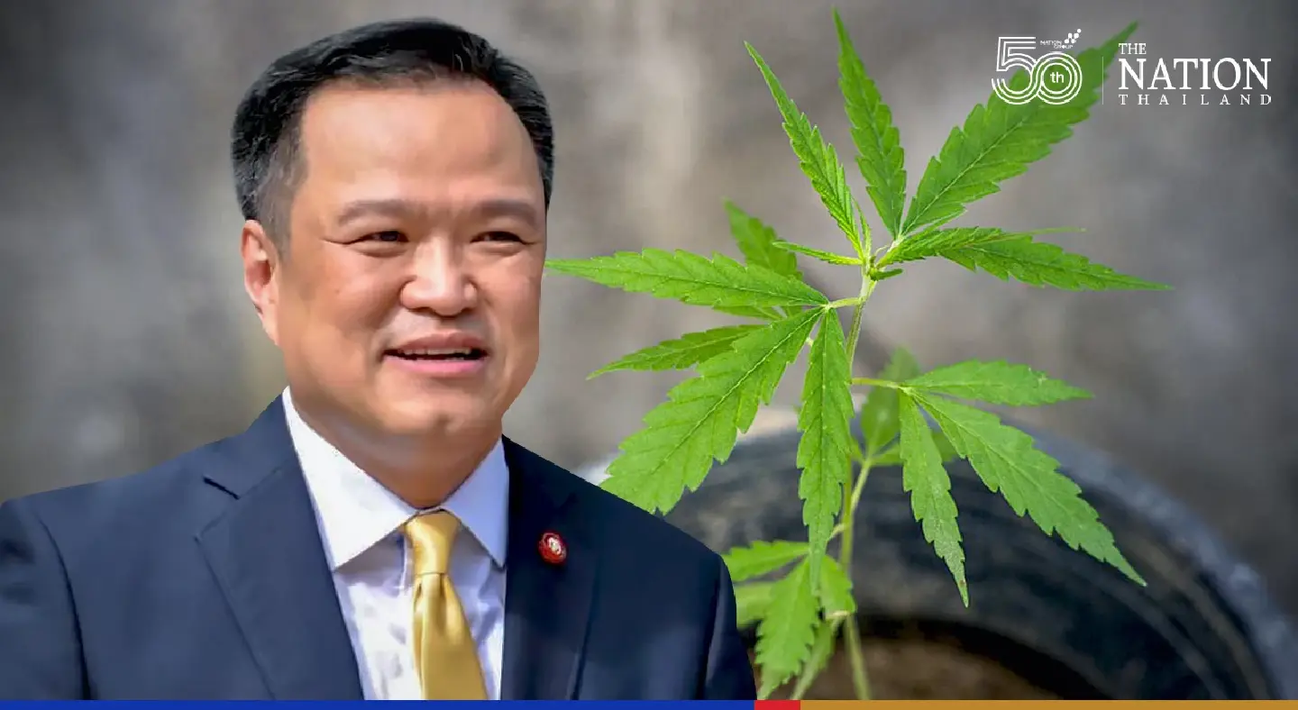 Narcotics board greenlights marijuana, hemp legalisation