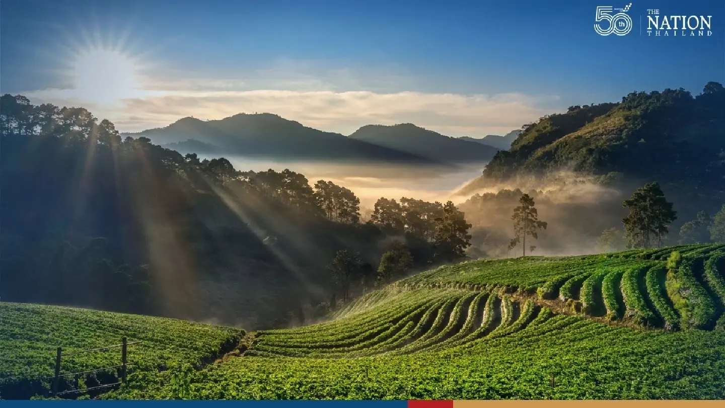 Cool weather and morning fog in upper Thailand, isolated thundershowers in the South