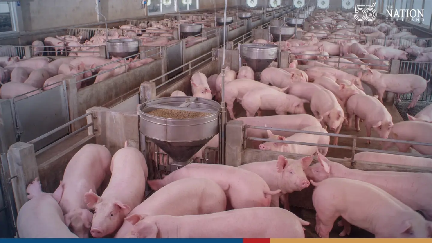 Major trade partners still have confidence in Thai pork: official