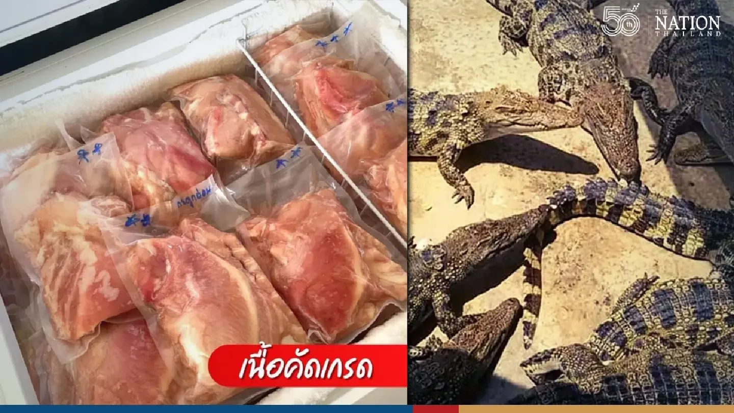 Thai consumers turn to crocodile as pork price skyrockets