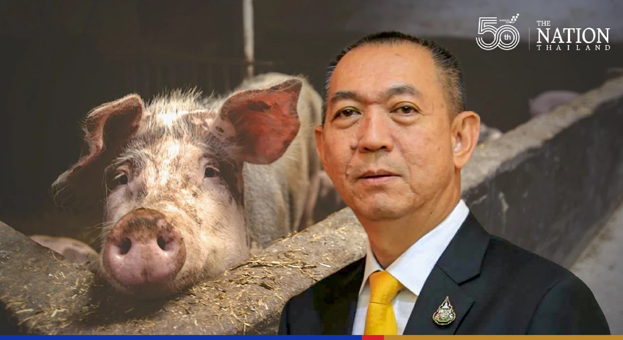 Agriculture Ministry will seek Bt2.9 billion to fight ASF