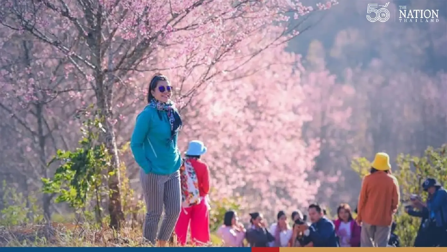 Thousands flock to Doi Inthanon to catch glimpse of frost, Queen Tiger flowers