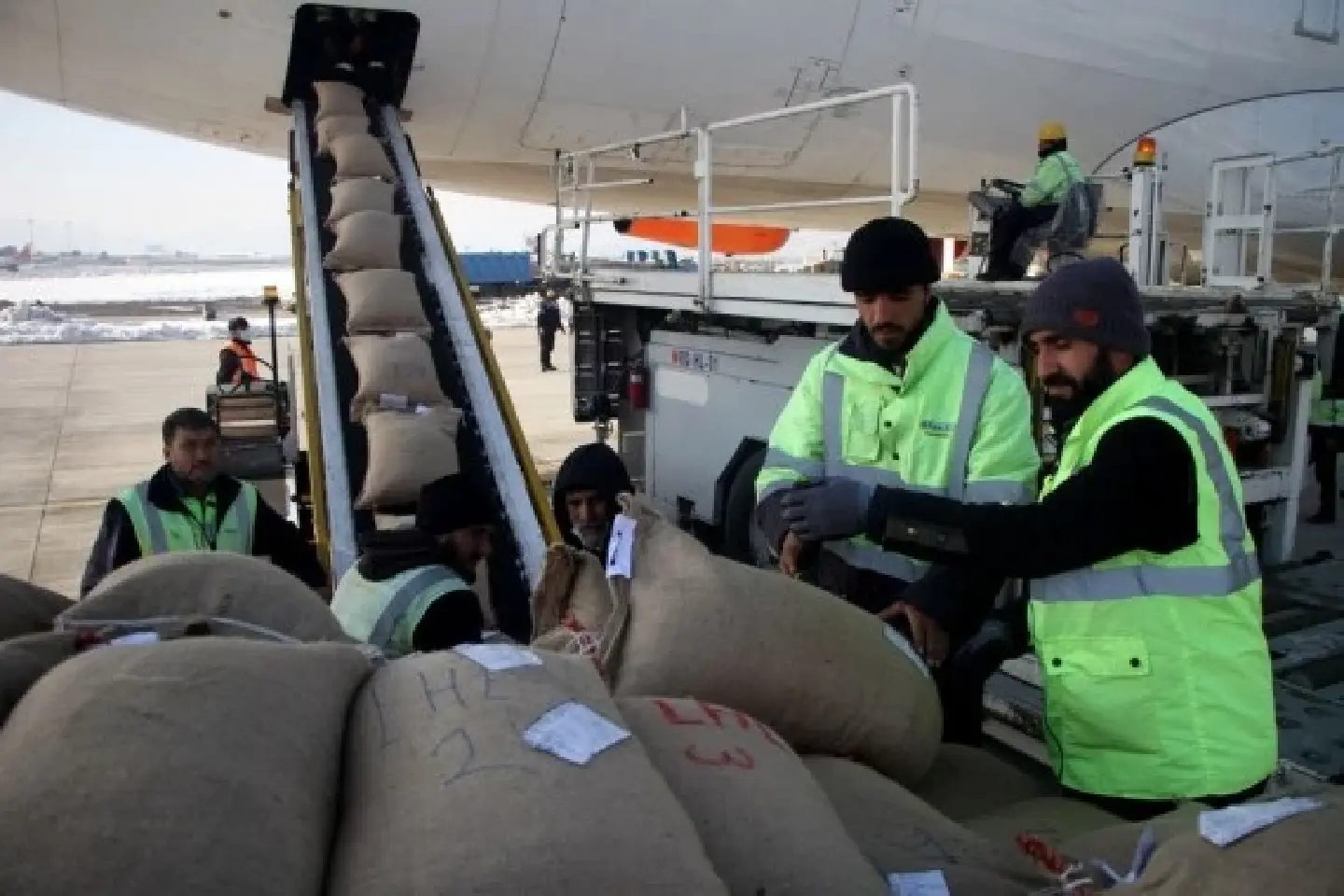 China to receive 1st shipment of pine nuts exported from Afghanistan in 2022