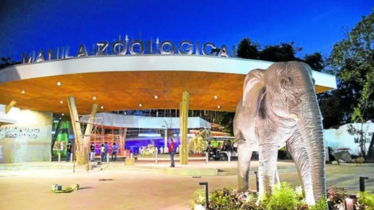 Manila Zoo to be used as venue for vaccination of kids aged 5 to 11 Manila Zoo to be used as venue for vaccination of kids aged 5 to 11