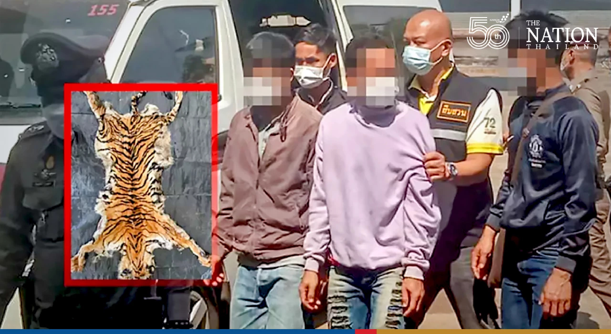 Four men confess to killing 2 tigers in Kanchanaburi national park