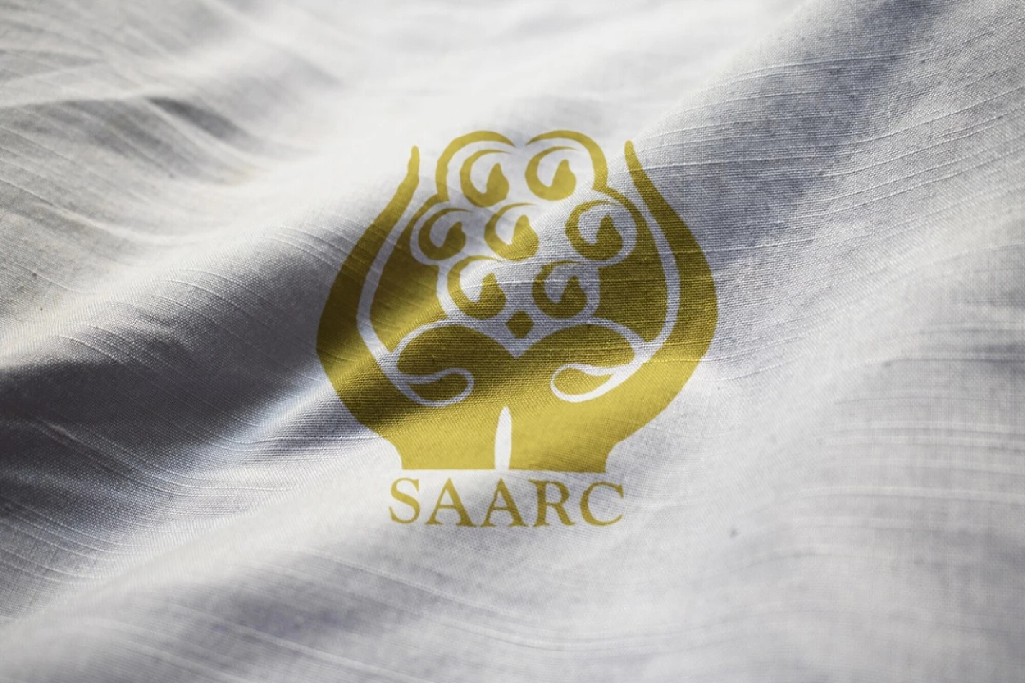 India rejects Pak proposal for SAARC Summit