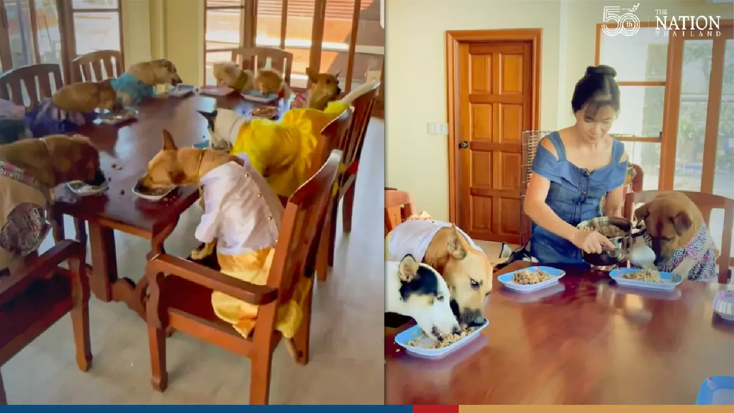 Nine ‘well-mannered’ doggy diners capture netizens’ hearts