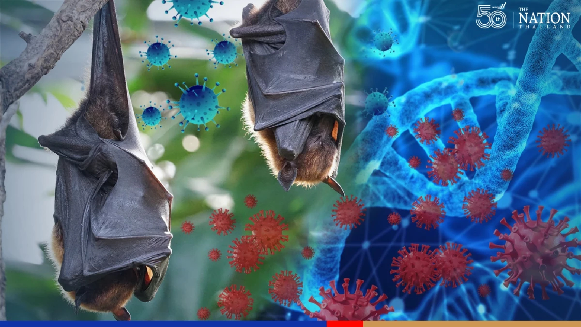 Newly discovered virus could be ‘3 times more deadly’ than Covid