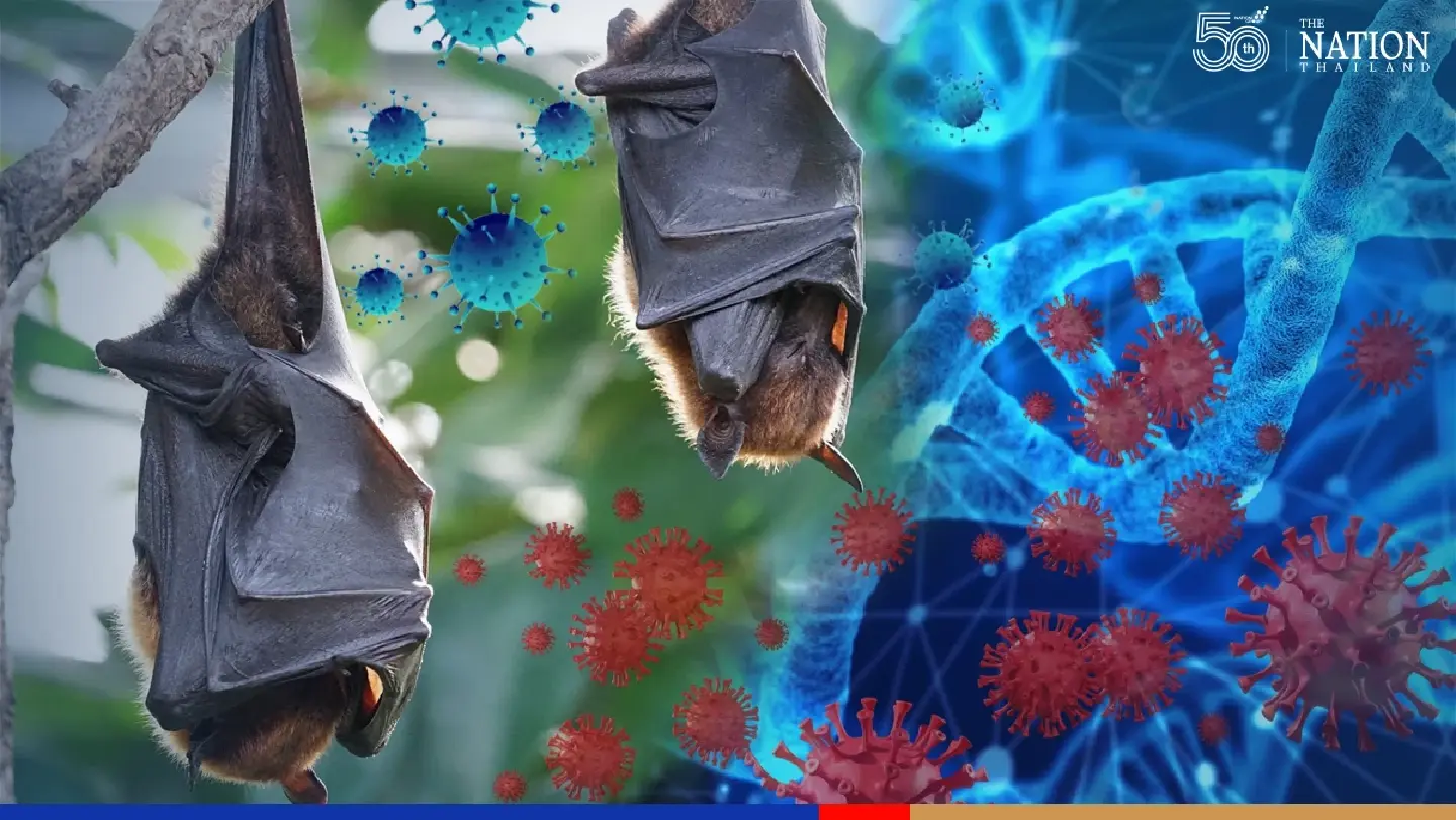 Newly discovered virus could be ‘3 times more deadly’ than Covid Newly discovered virus could be ‘3 times more deadly’ than Covid