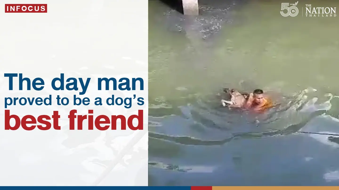 Drama in Sathorn: The day man proved to be a dog’s best friend