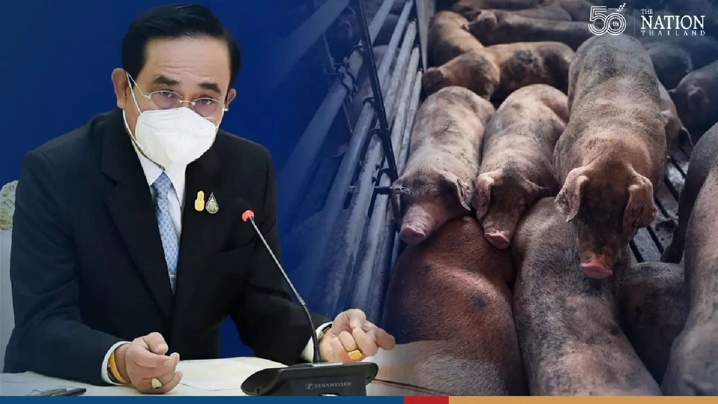Thailand denies swine flu cover-up as pig supplies fall, prices soar