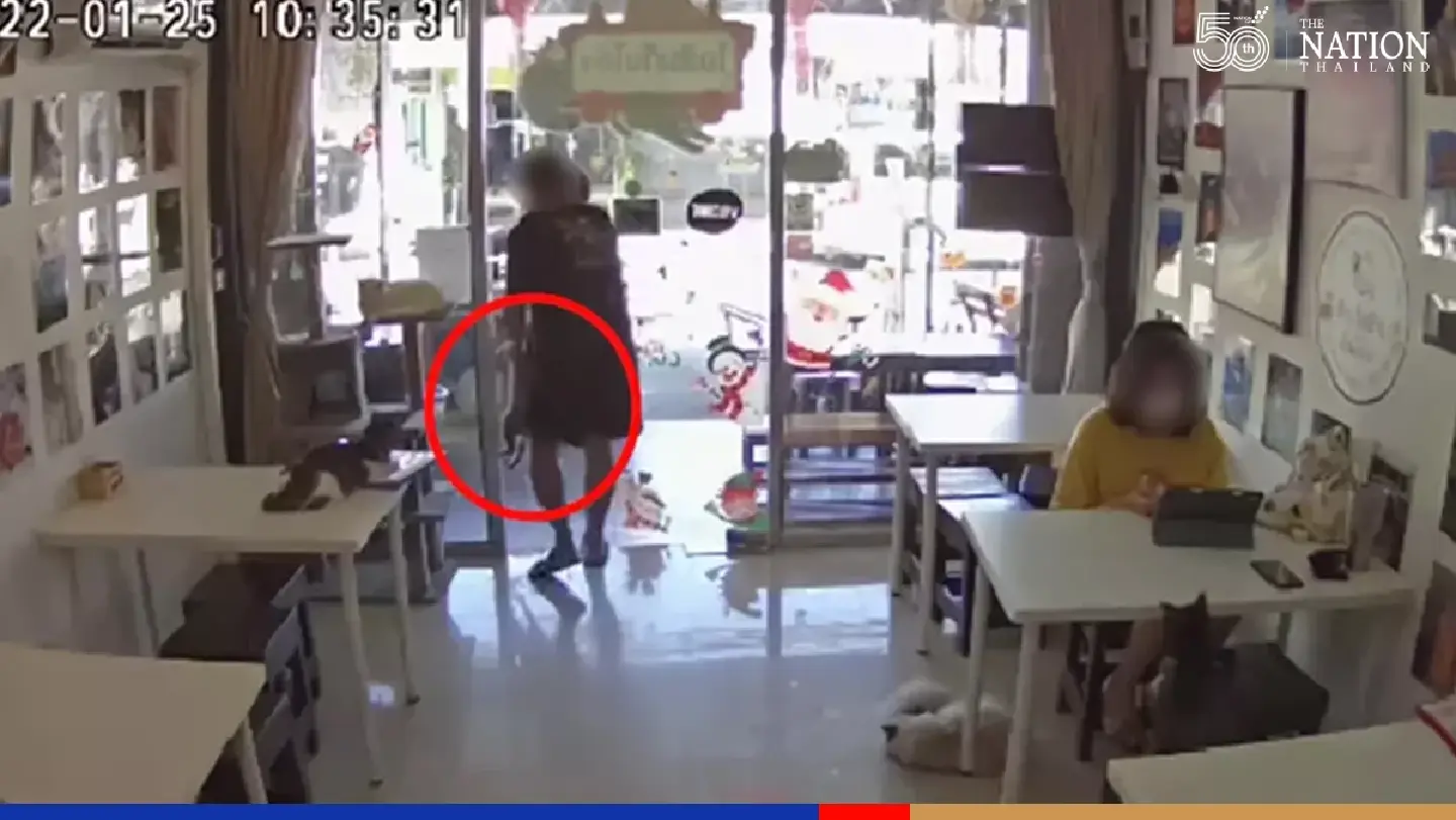 Netizens fume over cafe customer's rude behaviour towards cat Netizens fume over cafe customer's rude behaviour towards cat