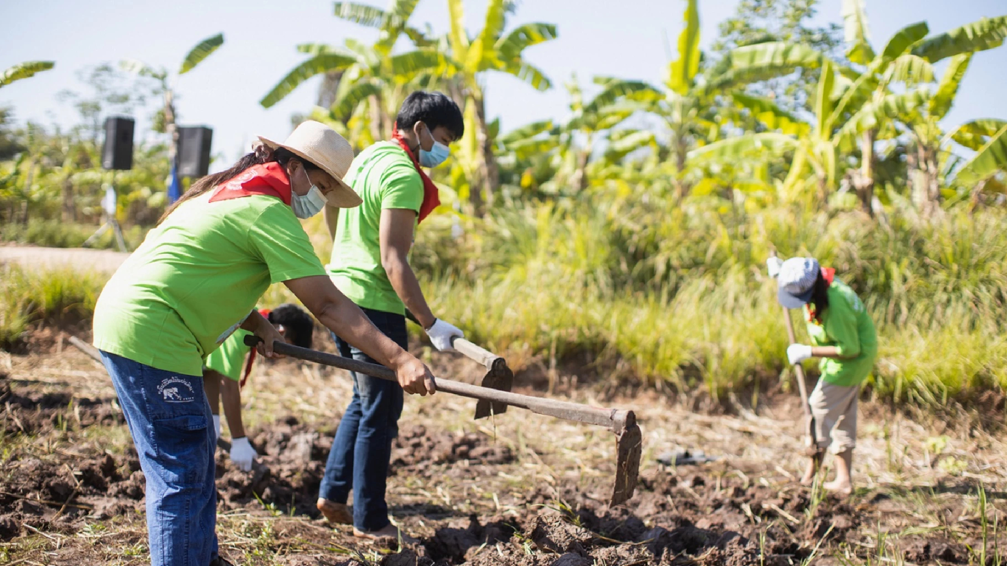 Making the most of Mother nature . A Journey Inspired by the King's project