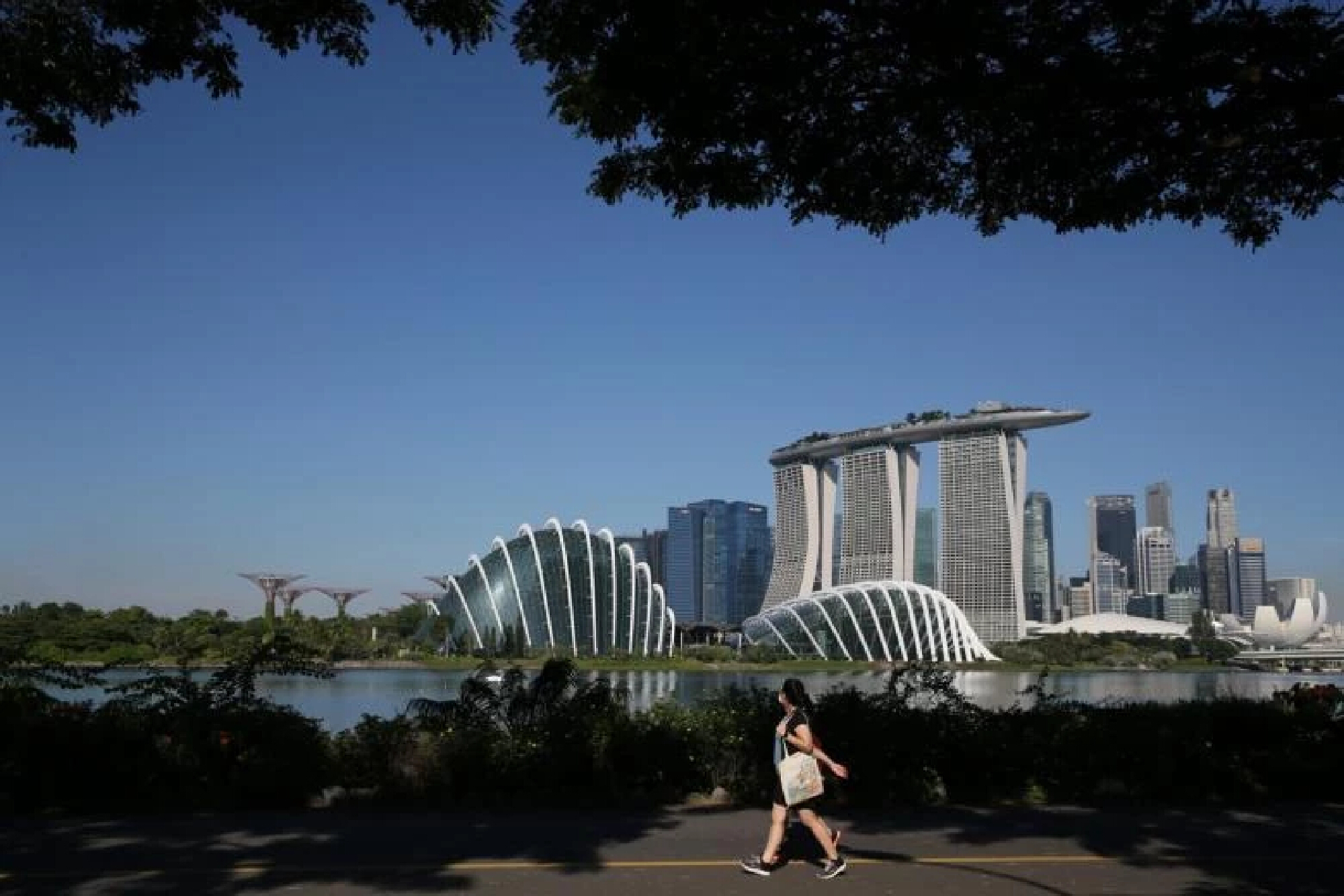All eyes on Singapore’s reopening progress and VTL expansion for 2022 economic outlook
