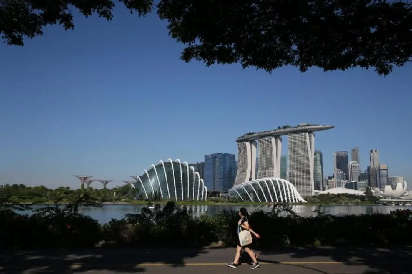 All eyes on Singapore’s reopening progress and VTL expansion for 2022 economic outlook All eyes on Singapore’s reopening progress and VTL expansion for 2022 economic outlook