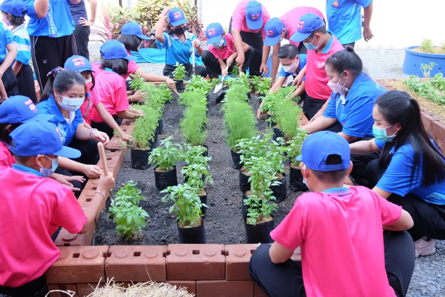Thai students tuck into ‘Edible Vegetable Garden Project’ Season 5 Thai students tuck into ‘Edible Vegetable Garden Project’ Season 5
