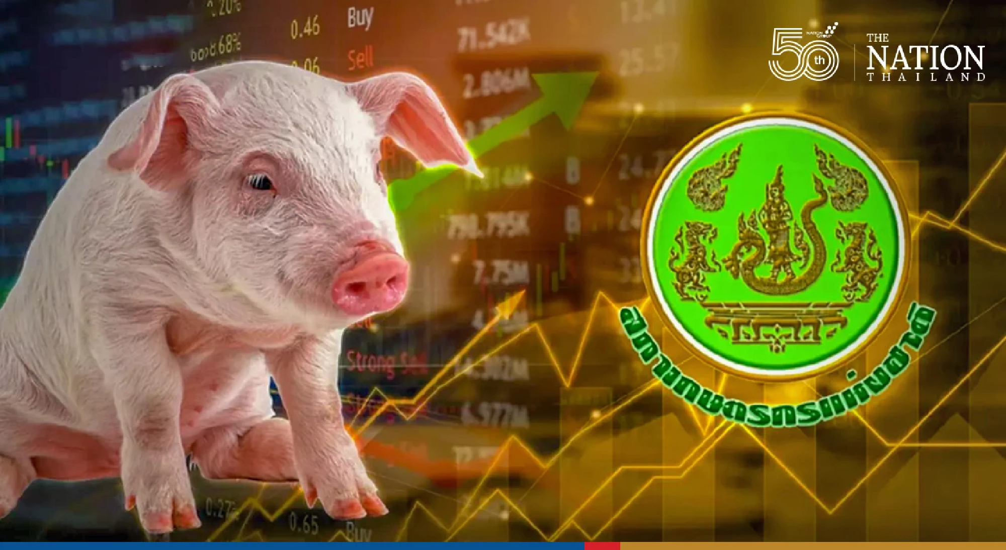 Council demands govt pay for pigs killed over ASF fears