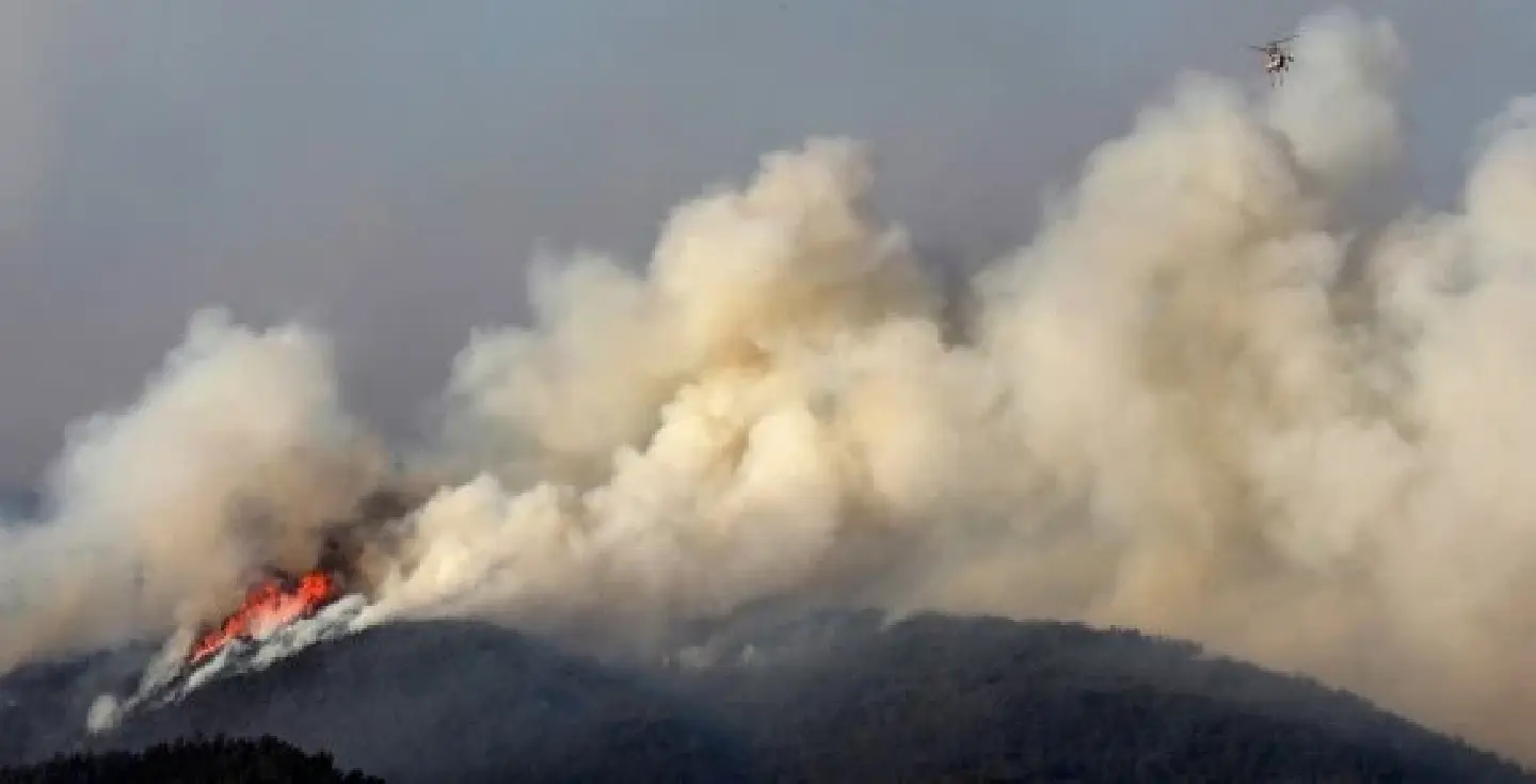 180 households evacuated as forest fire burning in southeast S. Korea 180 households evacuated as forest fire burning in southeast S. Korea