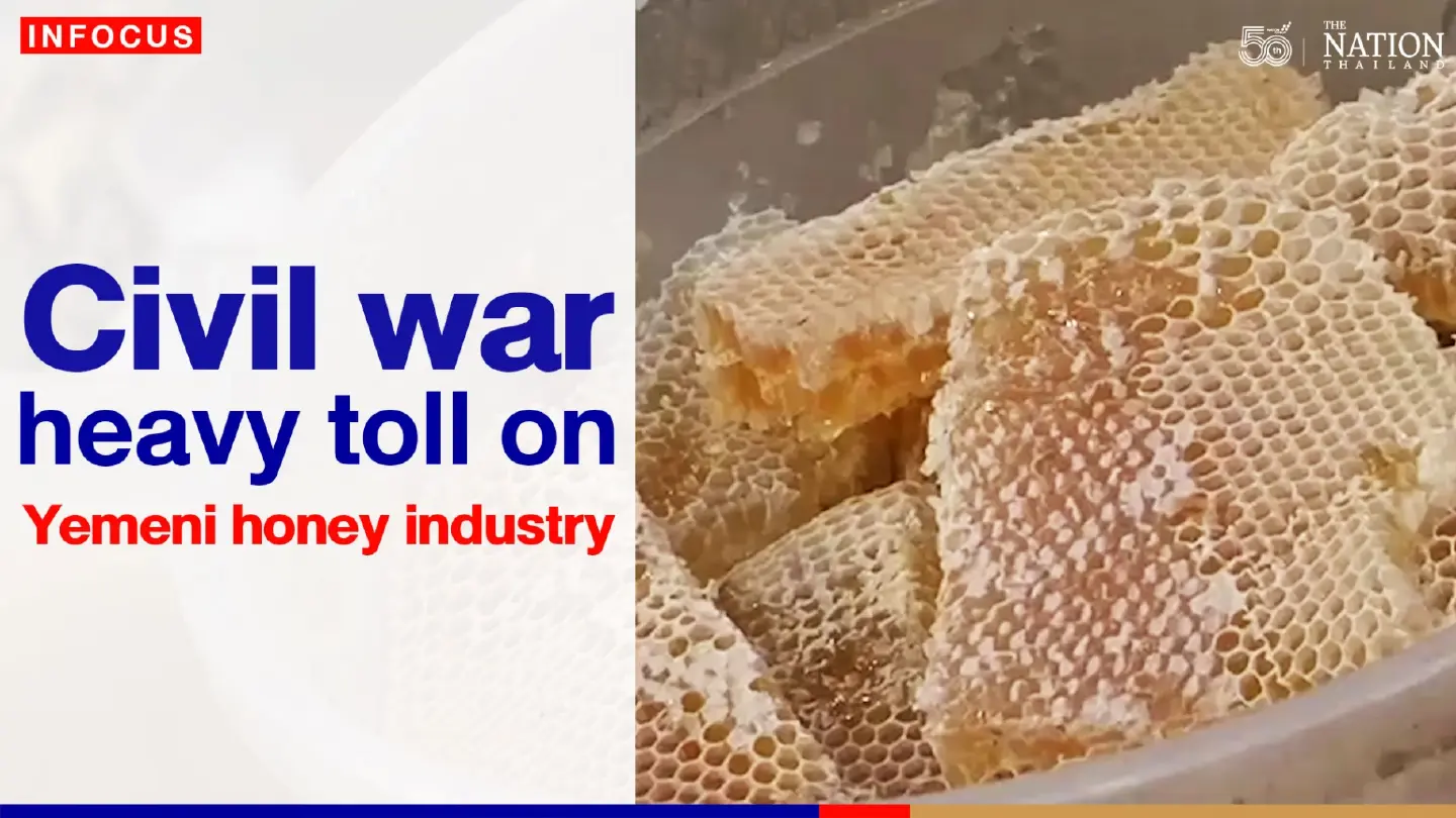 Civil war takes heavy toll on Yemeni honey industry