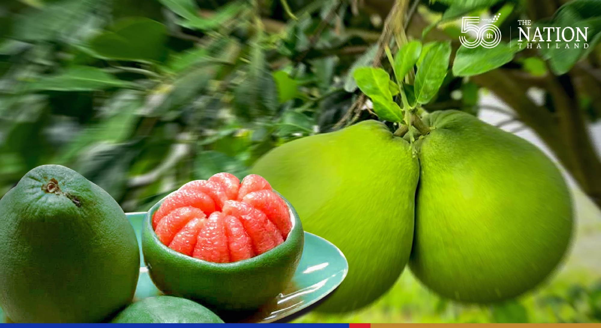 US greenlights import of pomelo from Thailand – after 15 years