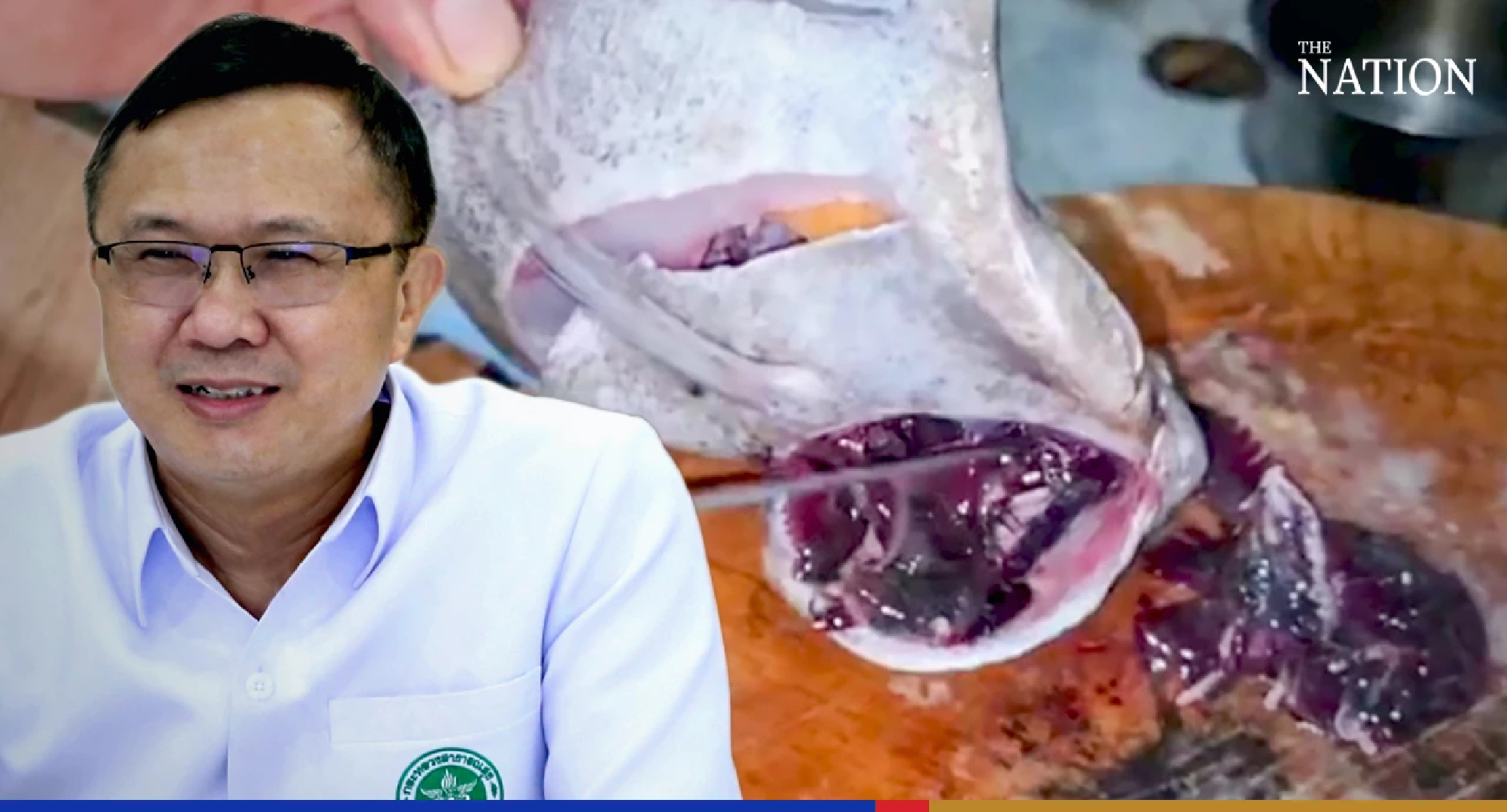 Black-gilled fish at market pass safety test after Rayong oil spill