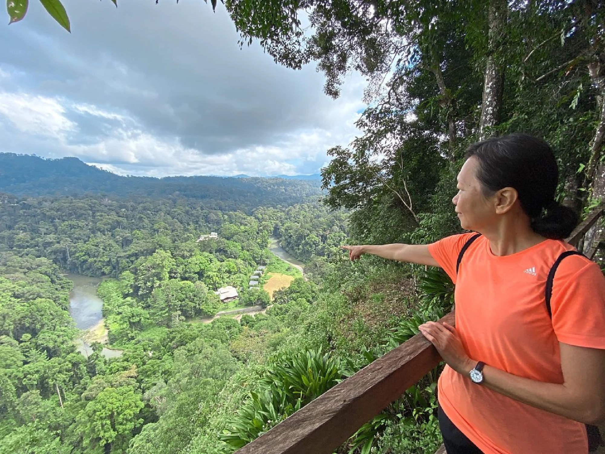Discover a magnificent old rainforest in Danum Valley, Sabah