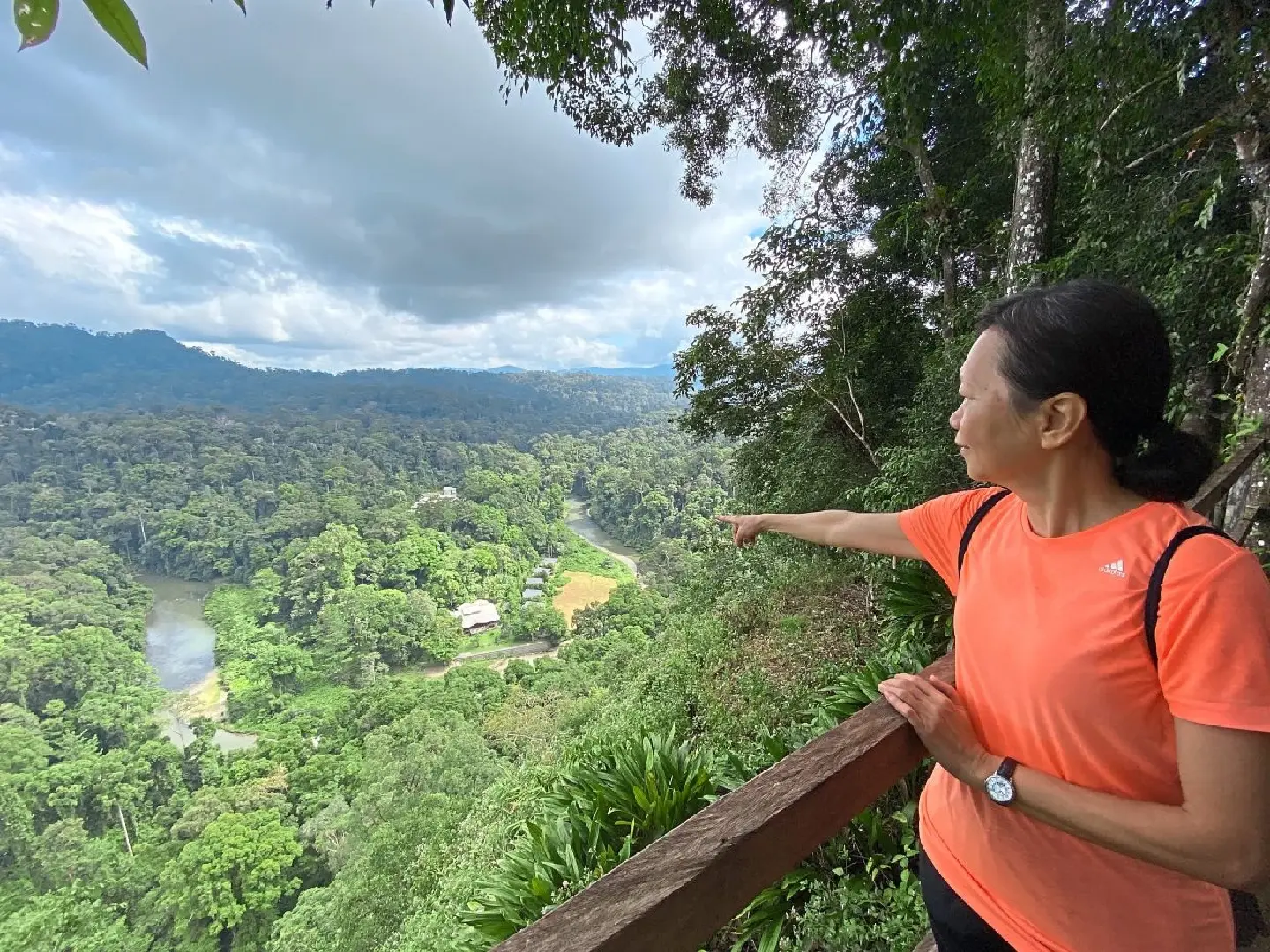 Discover a magnificent old rainforest in Danum Valley, Sabah Discover a magnificent old rainforest in Danum Valley, Sabah
