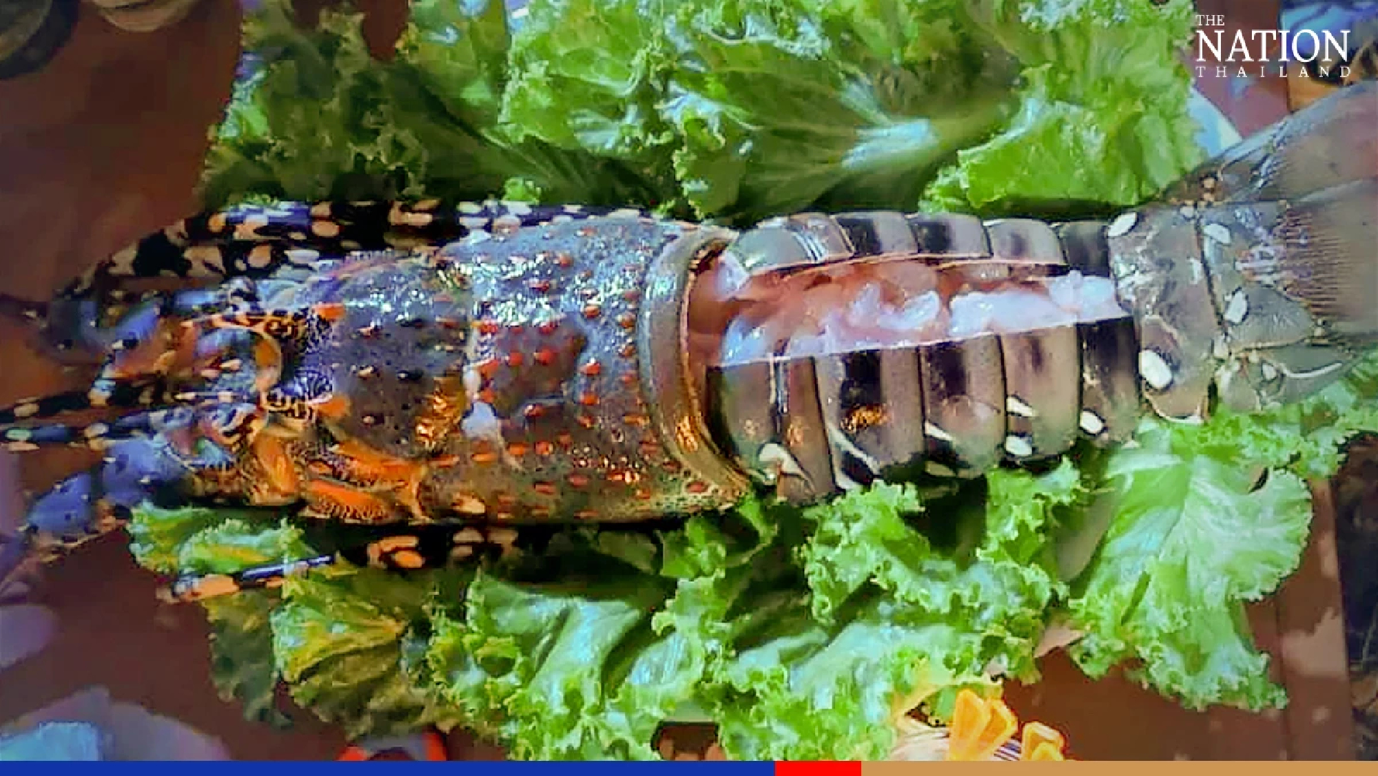 Seafood festival sizzles through Ranong streets until Feb 23