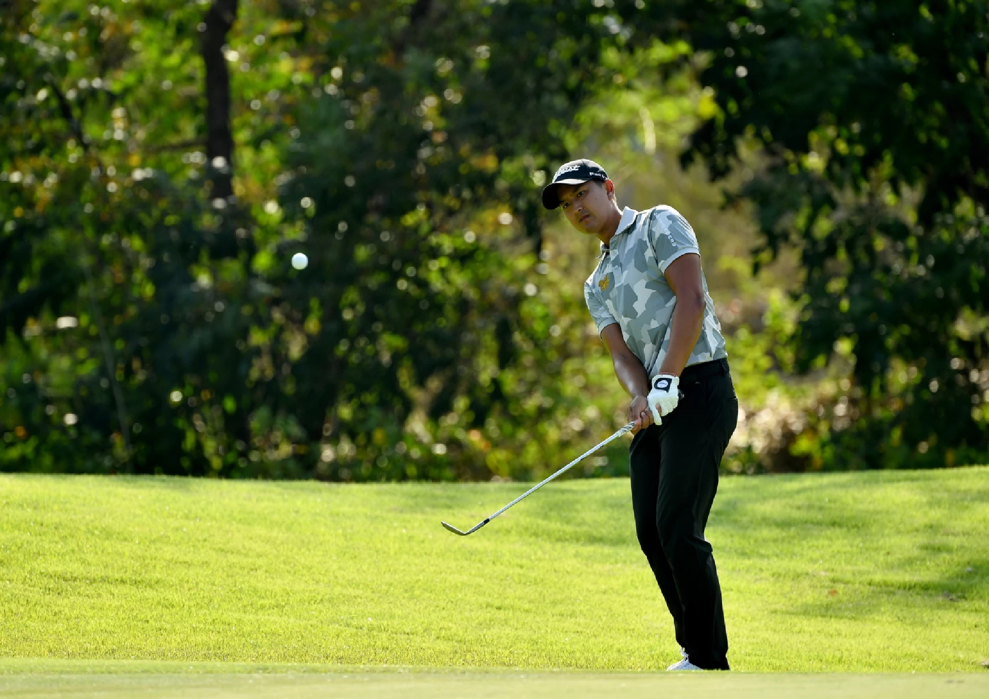 Hole in one, eagle finish puts Chan in control