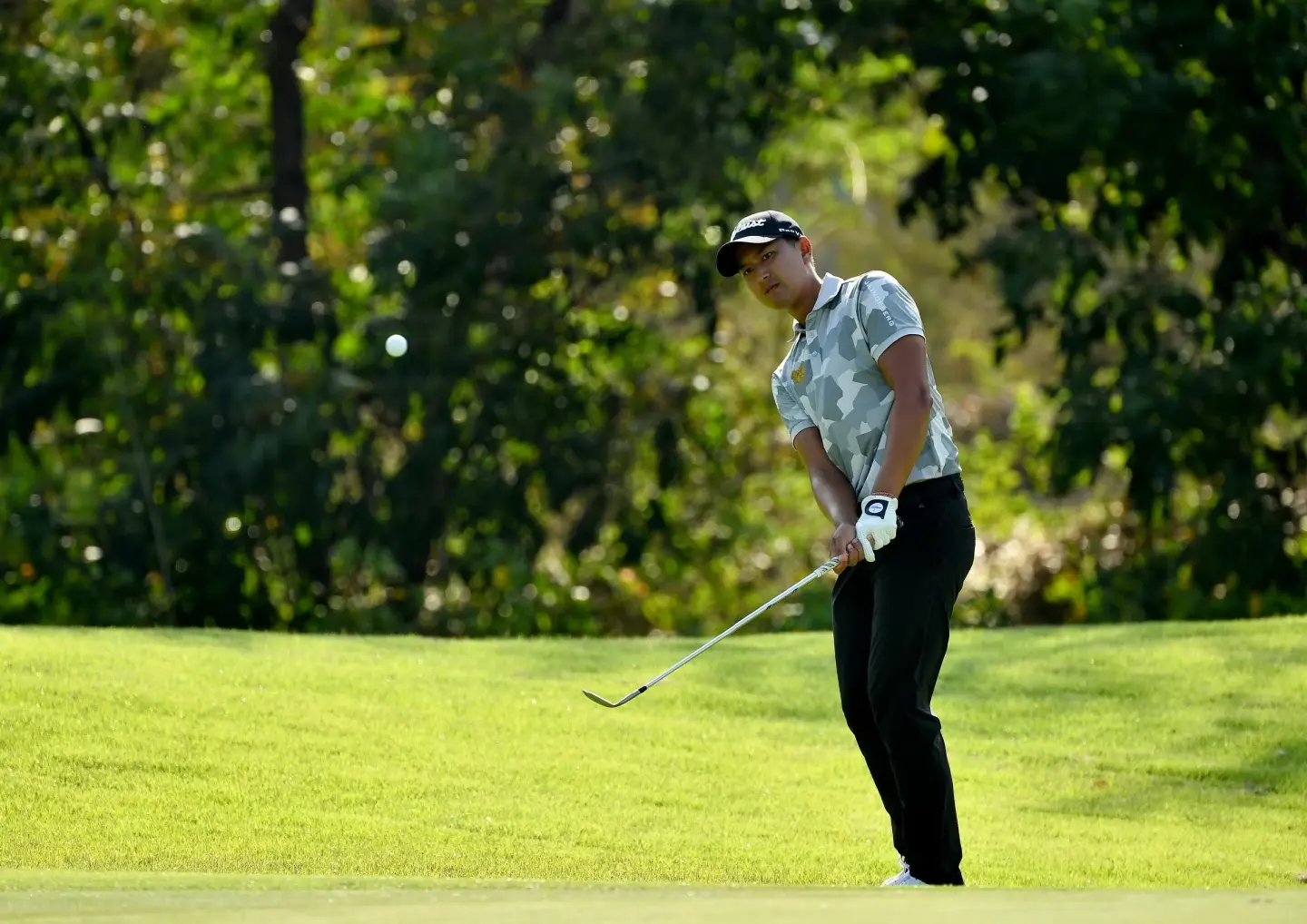 Hole in one, eagle finish puts Chan in control Hole in one, eagle finish puts Chan in control