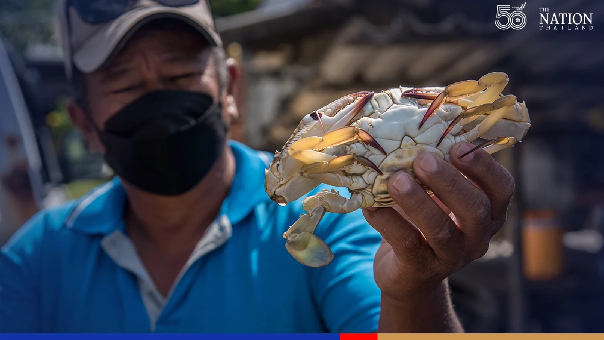 No contaminated seafood found yet after oil spill in Rayong