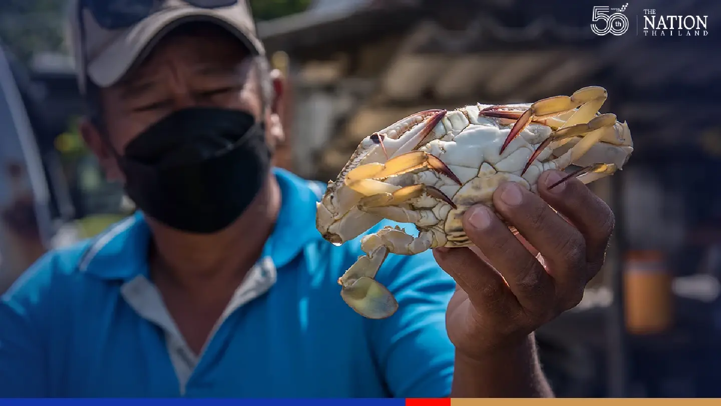 No contaminated seafood found yet after oil spill in Rayong