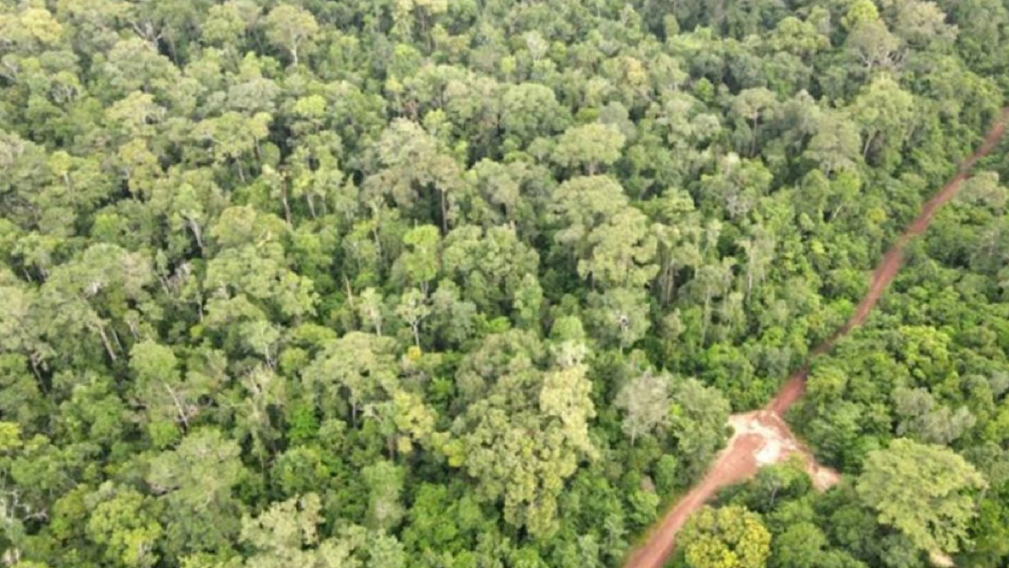 Cambodia looks toward carbon credits to fund forests