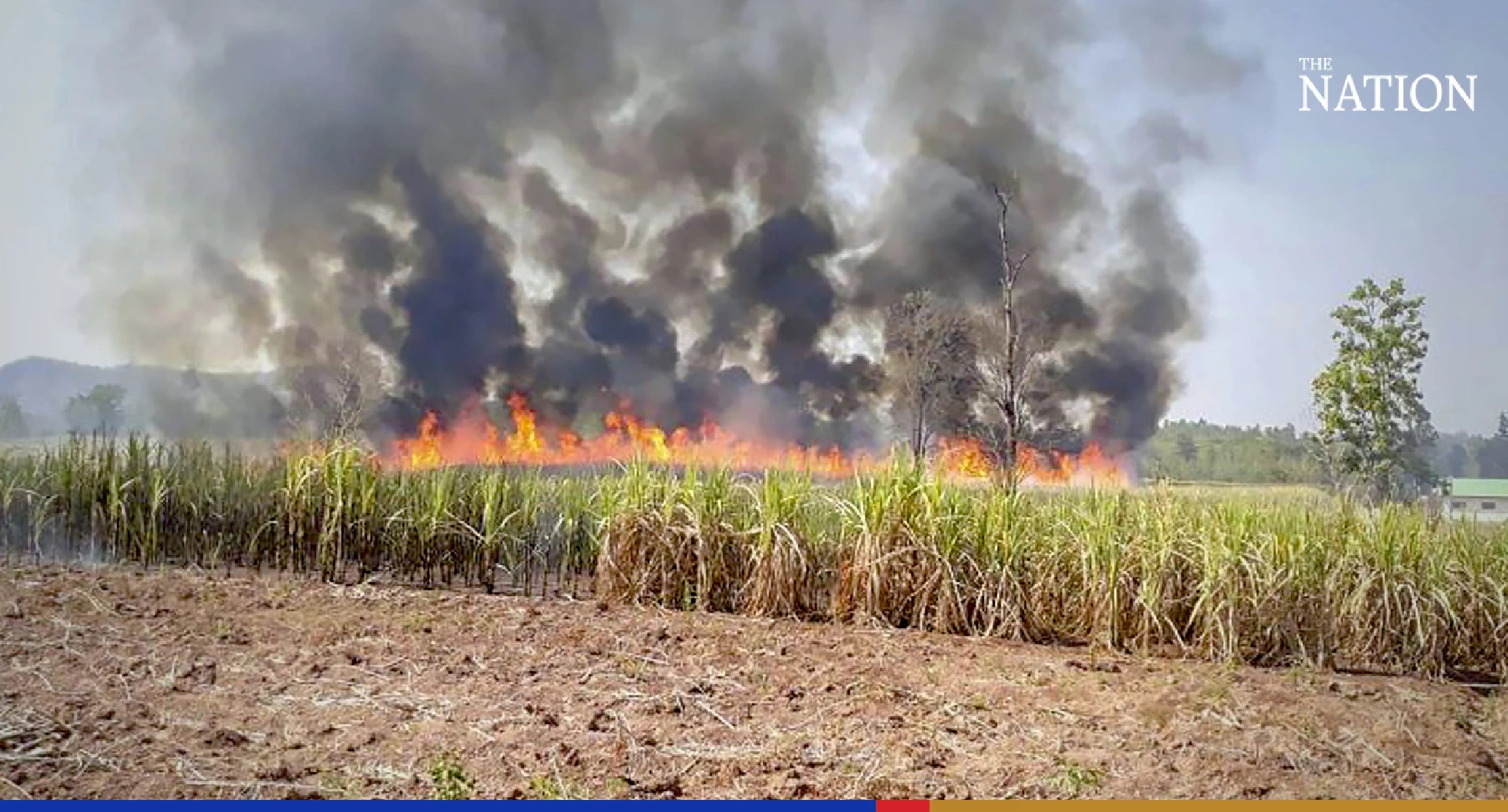 Sugarcane growers and sugar factories join hands to curb PM2.5 dust