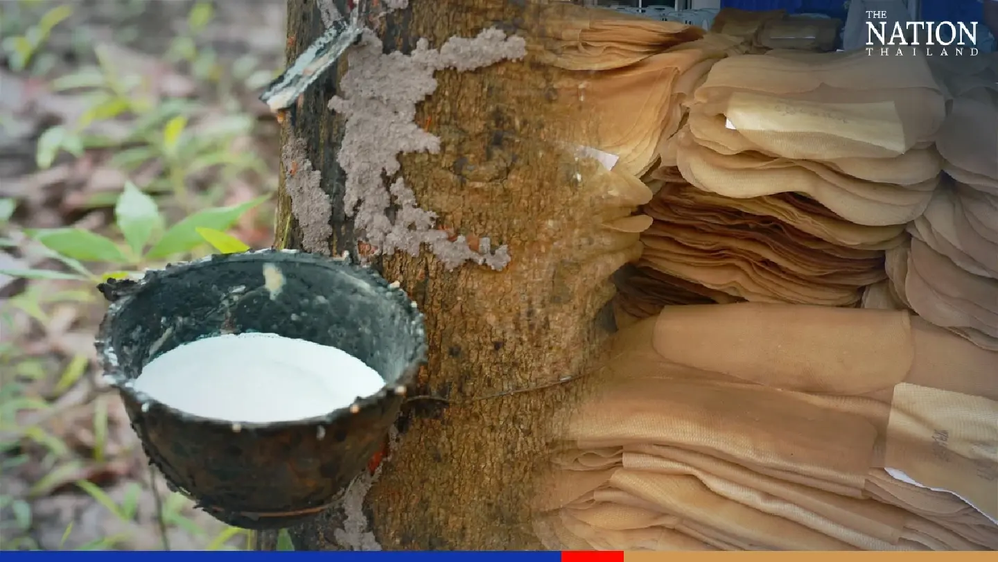 Thai rubber output to see marginal increase while demand remains high Thai rubber output to see marginal increase while demand remains high