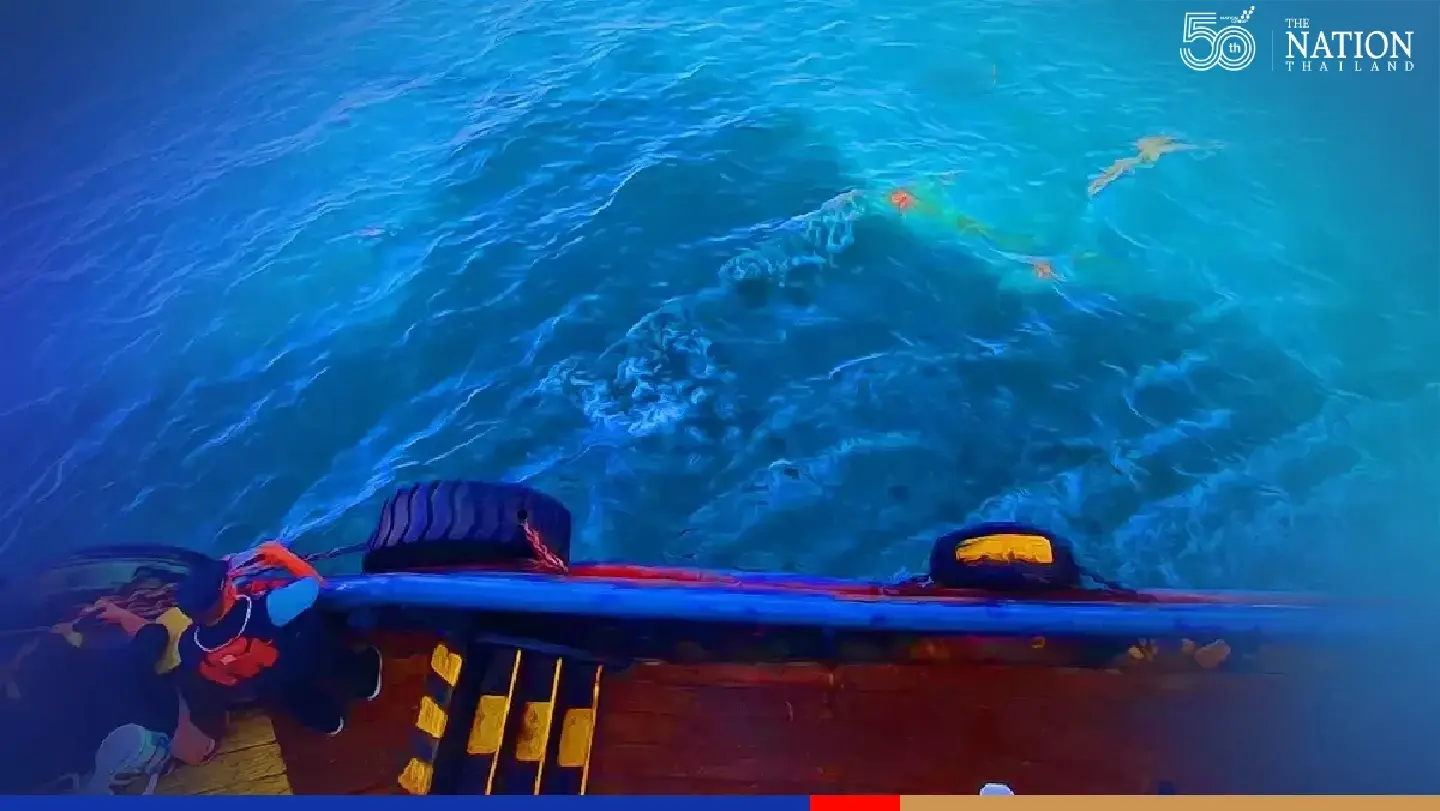 Marine ecosystem generally unaffected by oil leak, claim authorities