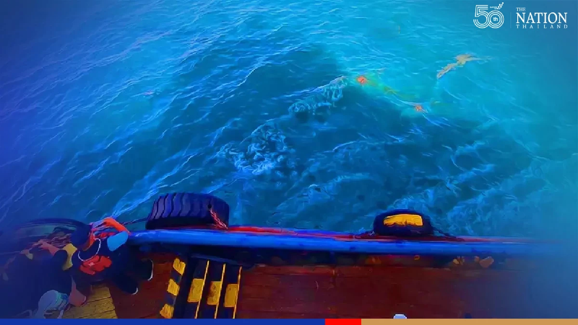 Marine ecosystem generally unaffected by oil leak, claim authorities