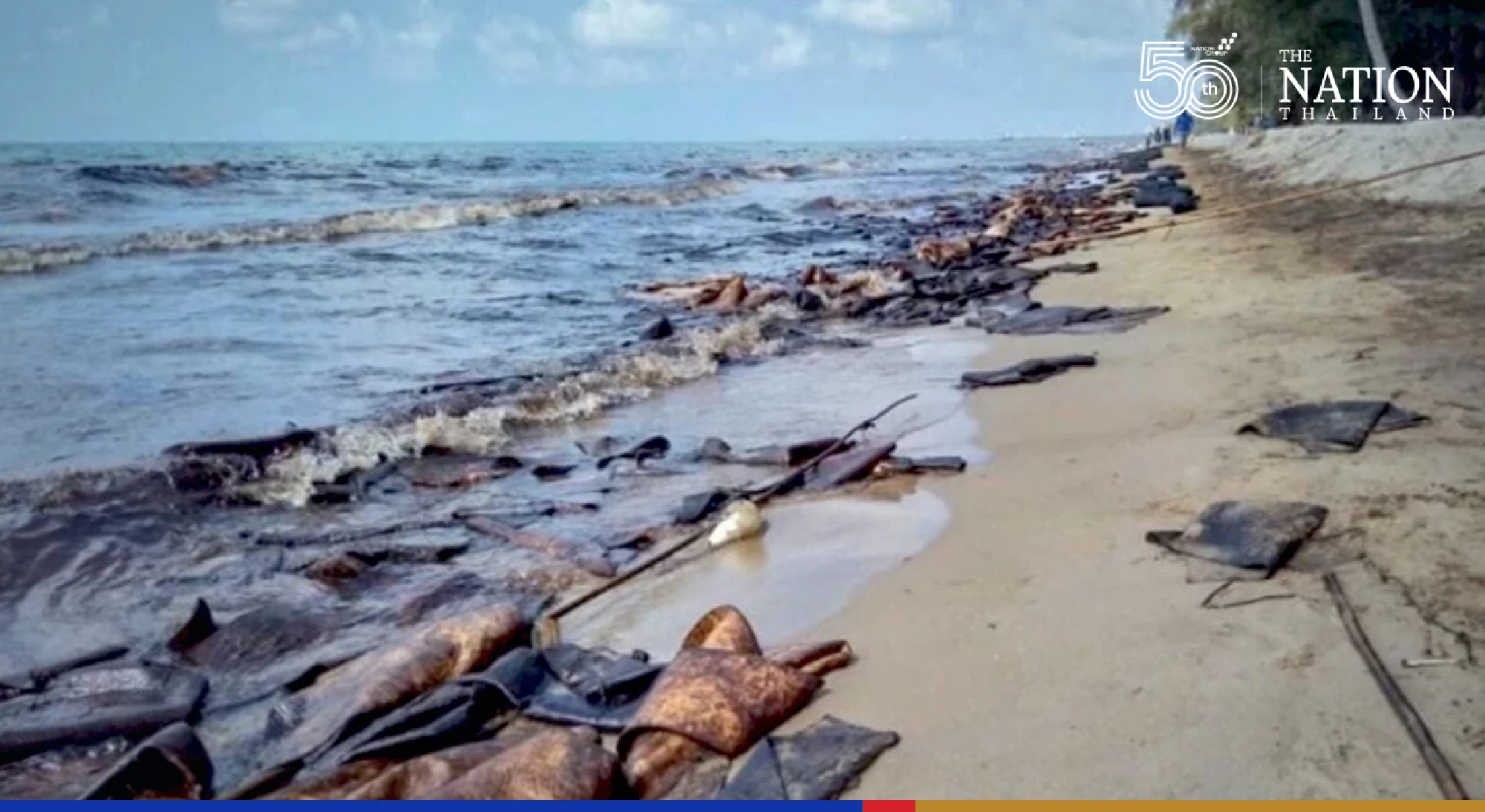 Impact of Rayong oil spill on marine ecosystem will only be visible in a year, says researcher