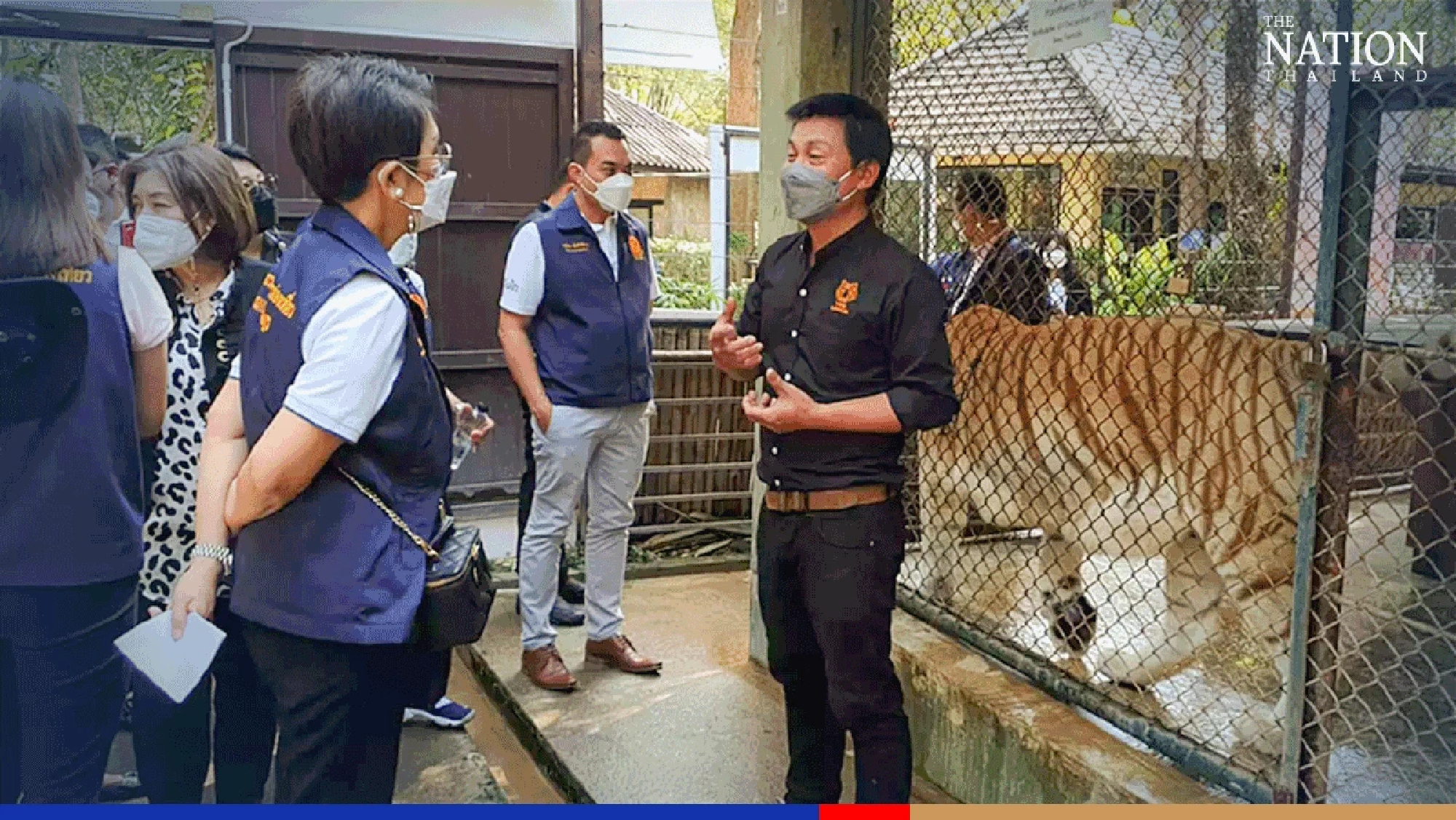 Thailand’s elephant and tiger attractions have run out of money, say operators