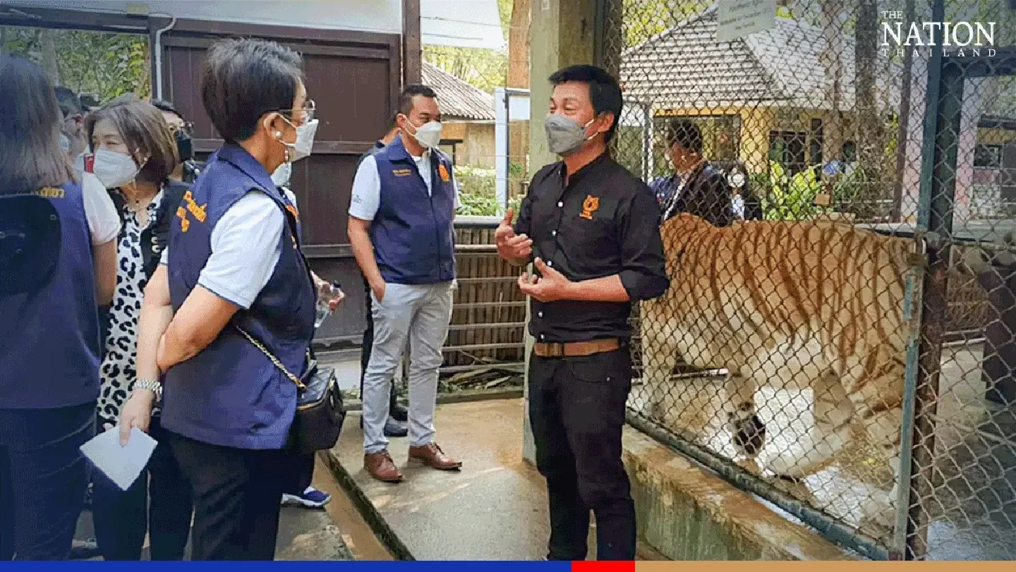 Thailand’s elephant and tiger attractions have run out of money, say operators Thailand’s elephant and tiger attractions have run out of money, say operators