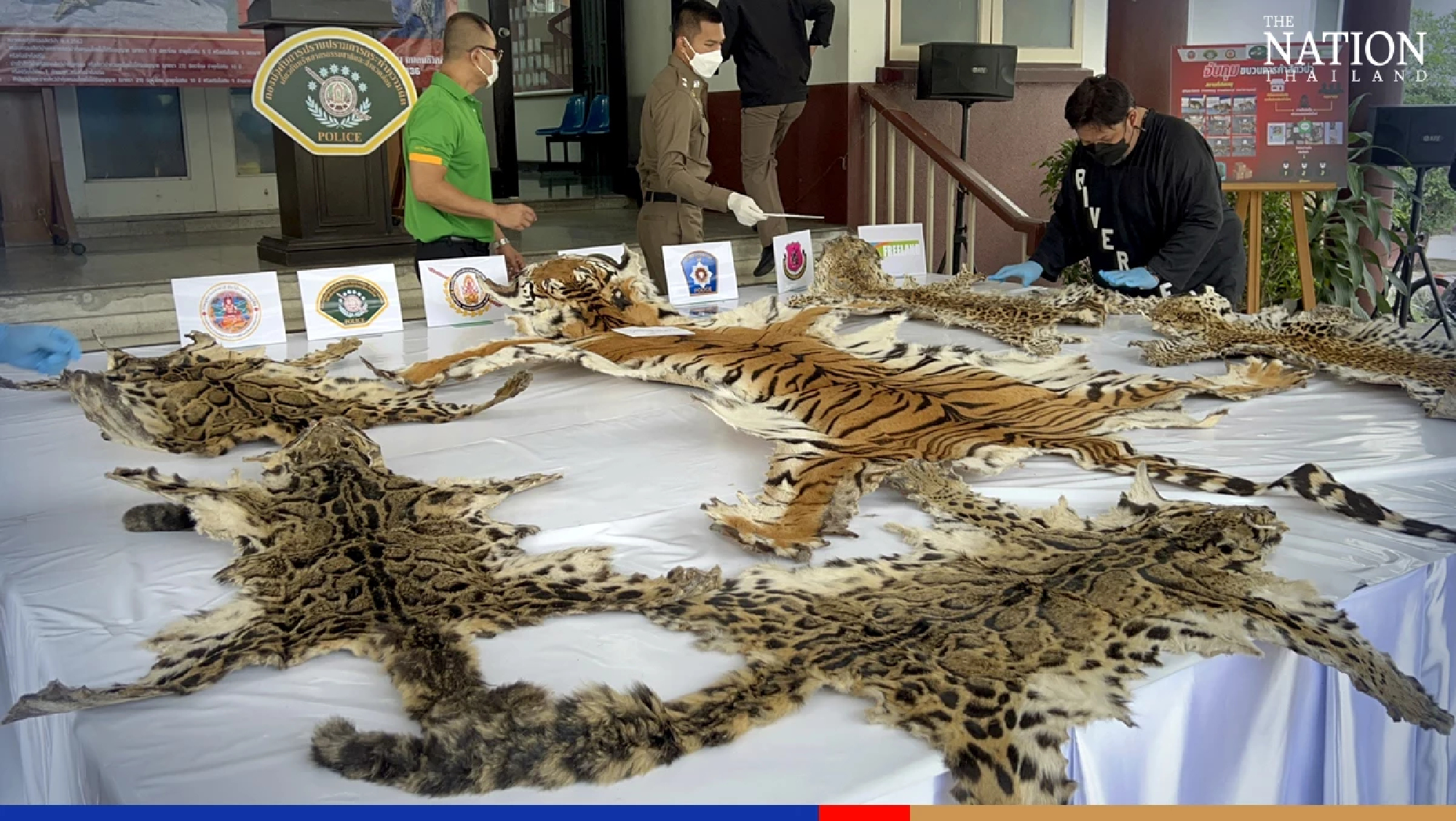 Two Thais, Myanmar man arrested for alleged poaching