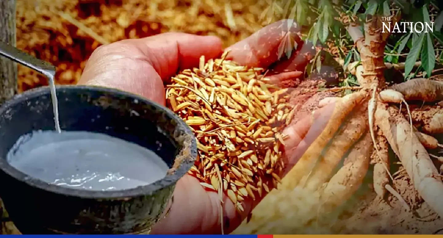 Thai agricultural products enjoying export growth spurt Thai agricultural products enjoying export growth spurt