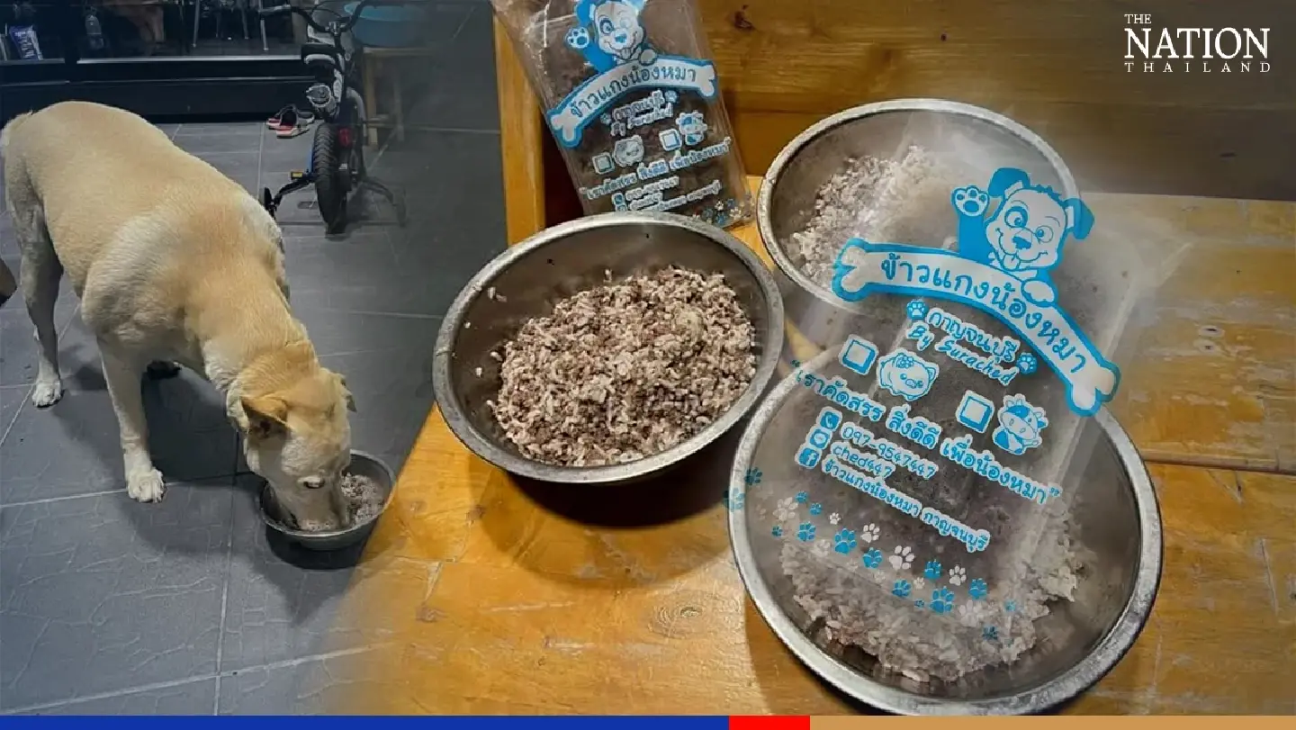Dog meal sales prove more remunerative for one food vendor Dog meal sales prove more remunerative for one food vendor