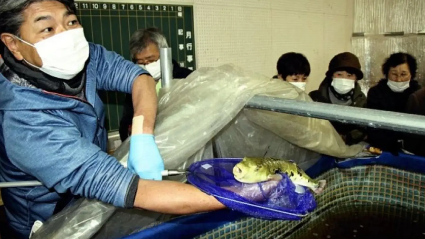 Saltwater fish raised in Japan’s mountains ready to make a splash Saltwater fish raised in Japan’s mountains ready to make a splash