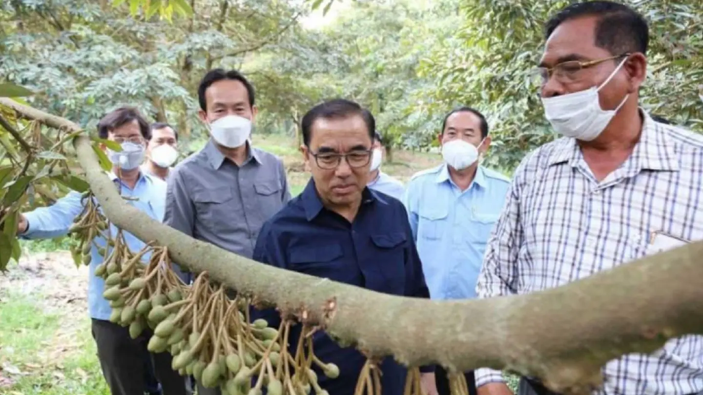 Cambodia's minister eyes durian exports to China, pushes for research Cambodia's minister eyes durian exports to China, pushes for research