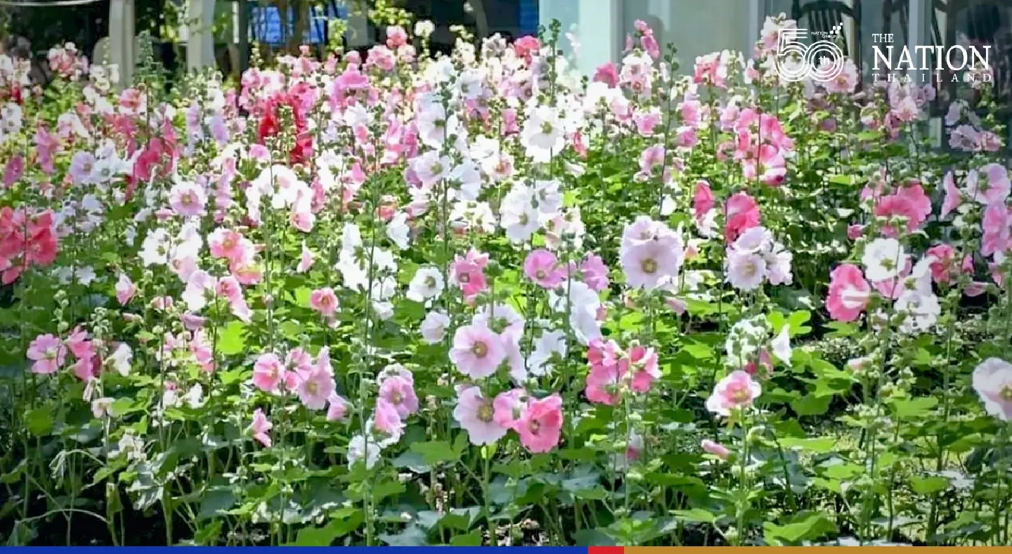 A floral extravaganza for Bangkok sweethearts this Valentine’s Day