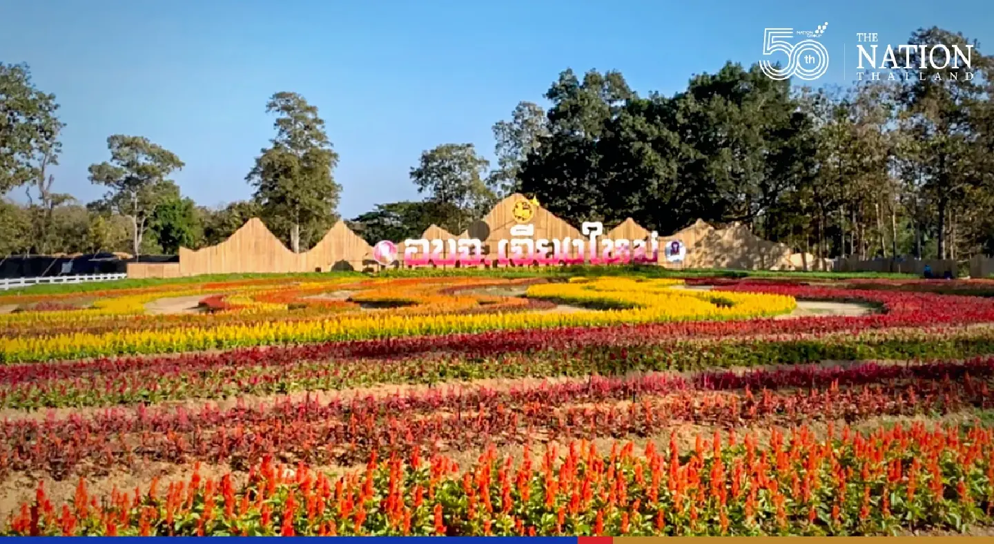 Chiang Mai flower festival expects up to 1 million visitors