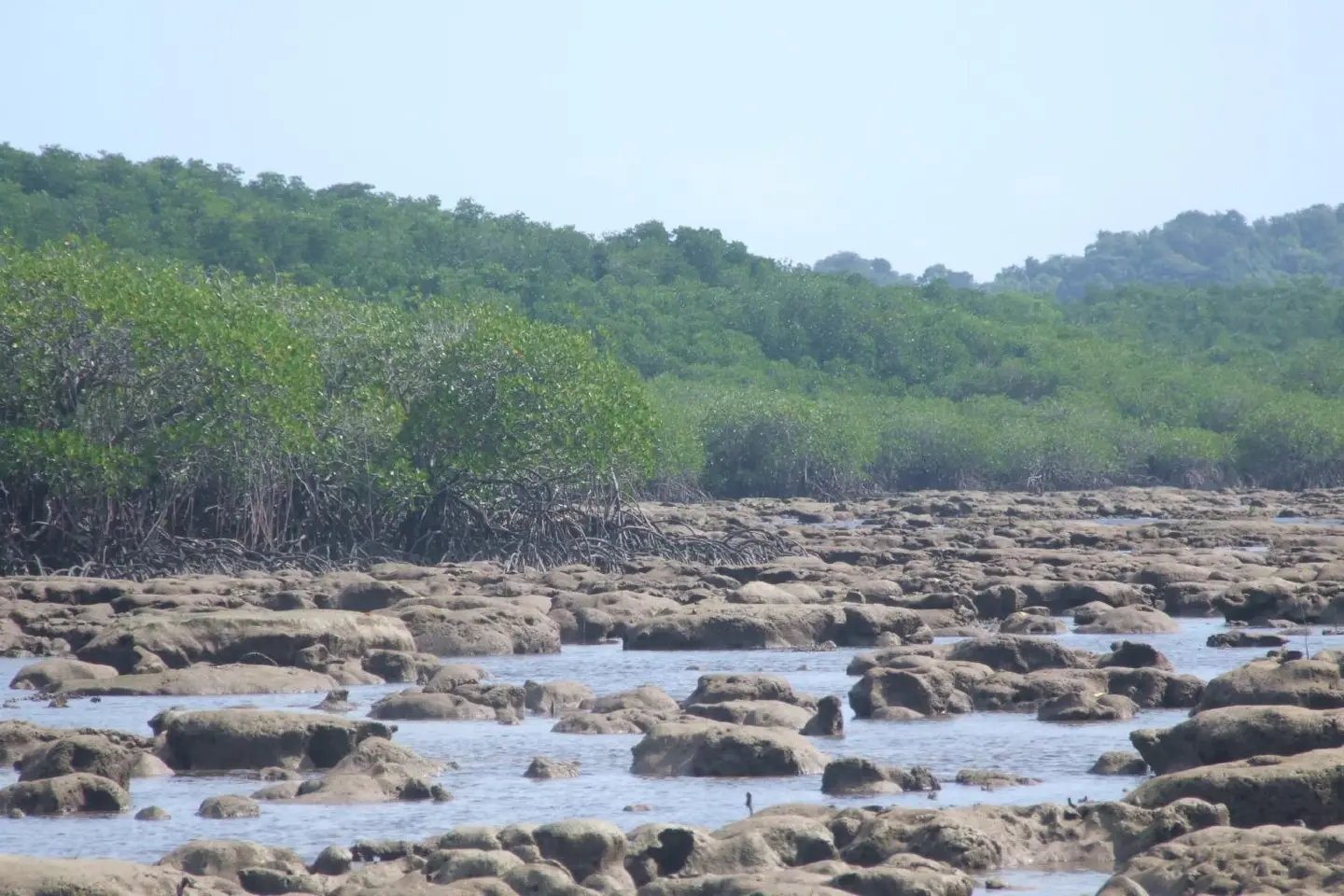 South-east Asia among regions hardest hit by climate change, must prioritise adaptation: IPCC