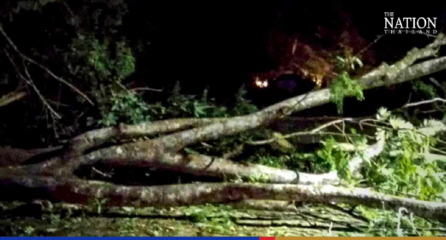 Narathiwat bomb attack injures four